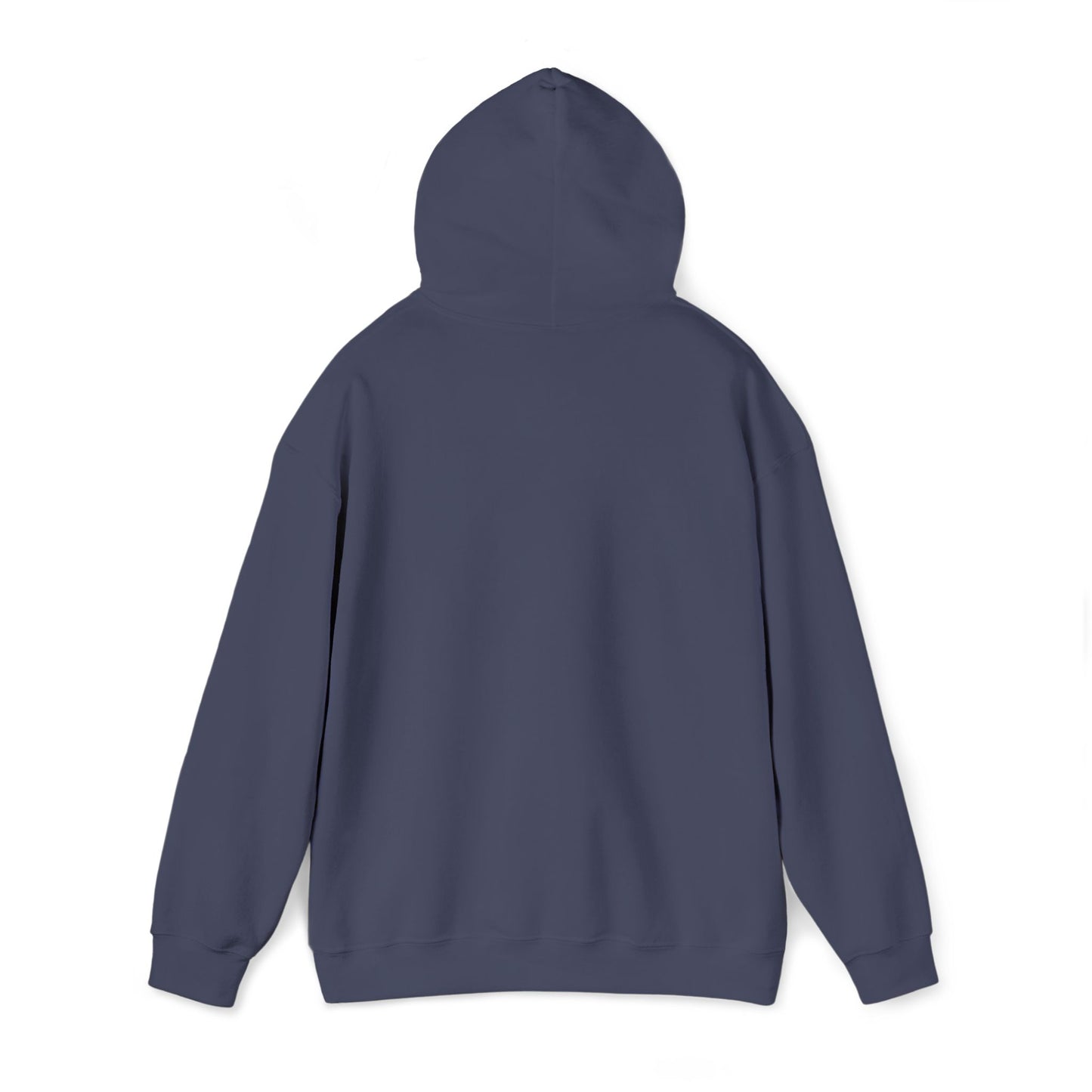 “Flostorian (n.)” Definition Hooded Sweatshirt | For Florida History Lovers & Culture Keepers