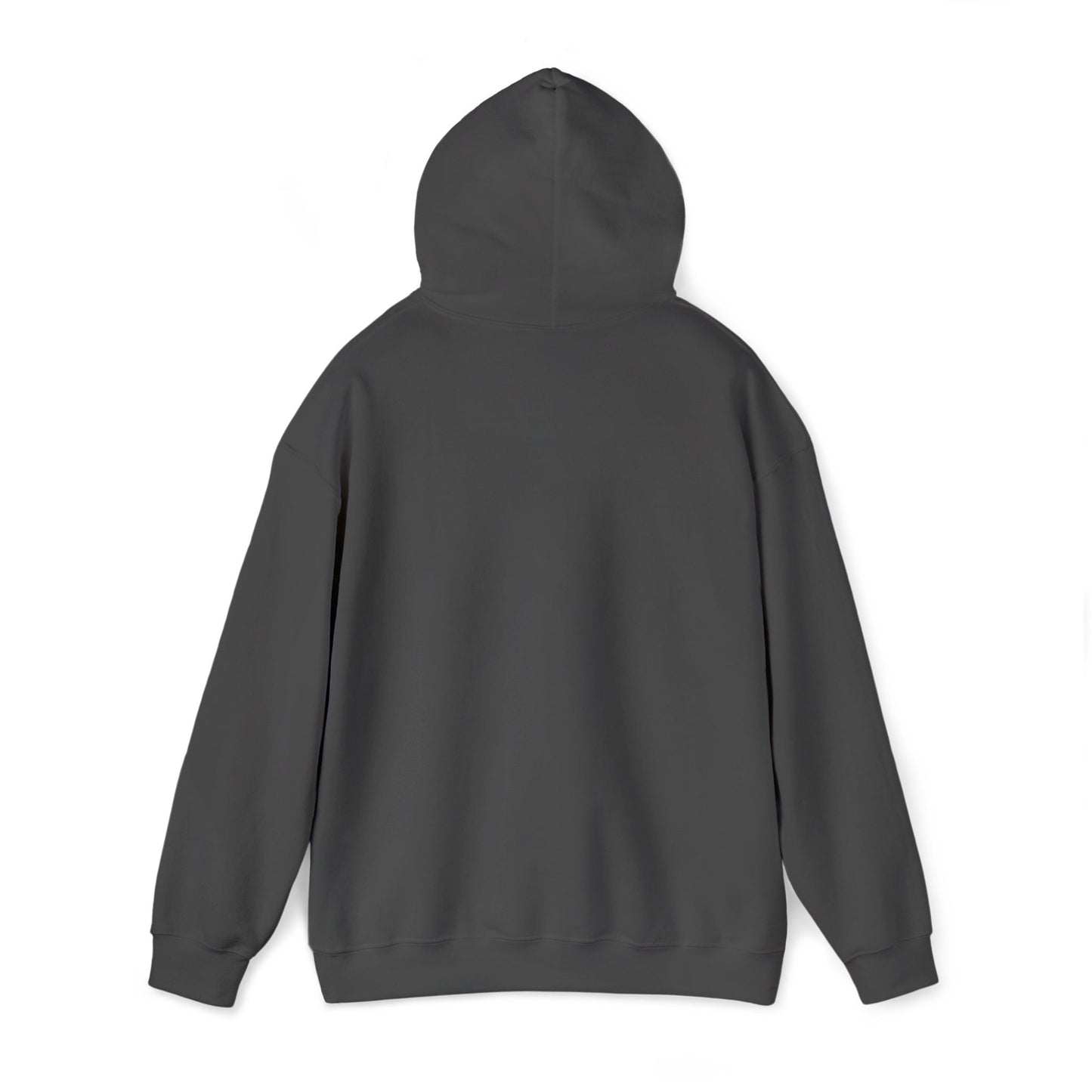 “Flostorian (n.)” Definition Hooded Sweatshirt | For Florida History Lovers & Culture Keepers