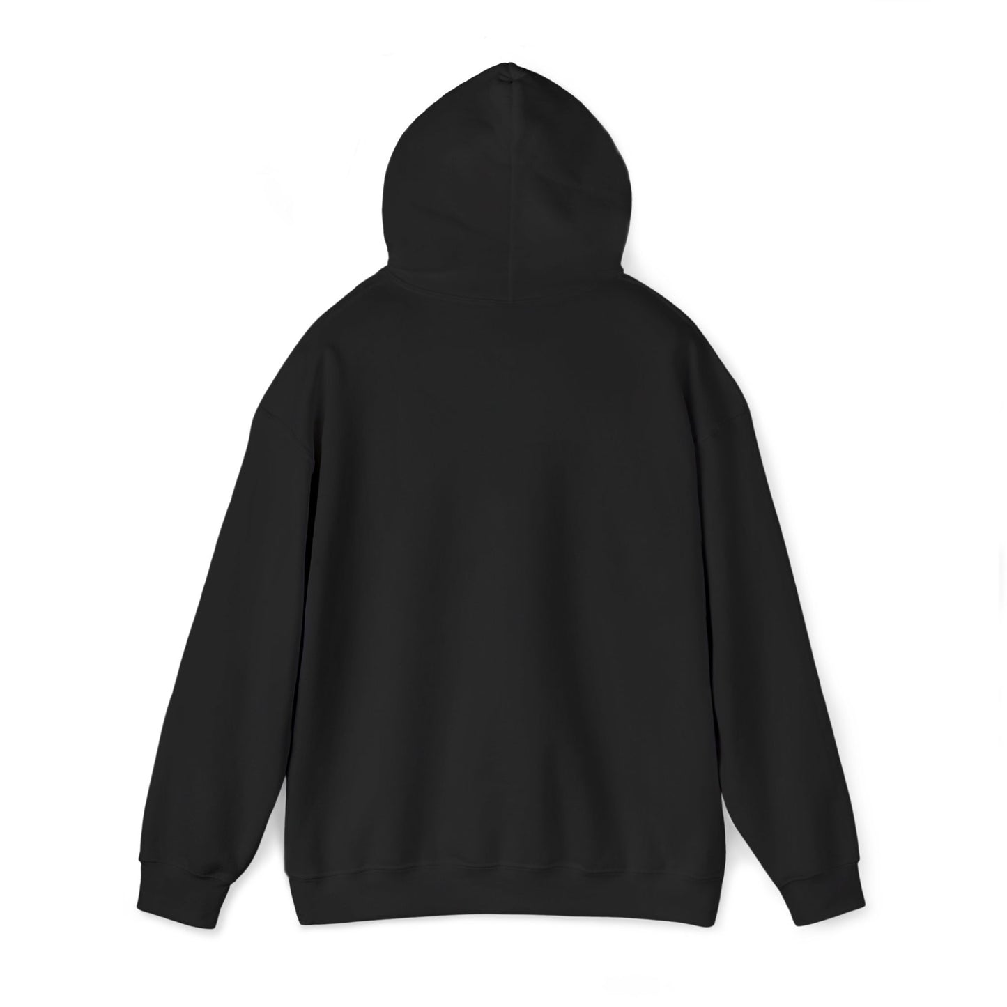 “Flostorian (n.)” Definition Hooded Sweatshirt | For Florida History Lovers & Culture Keepers
