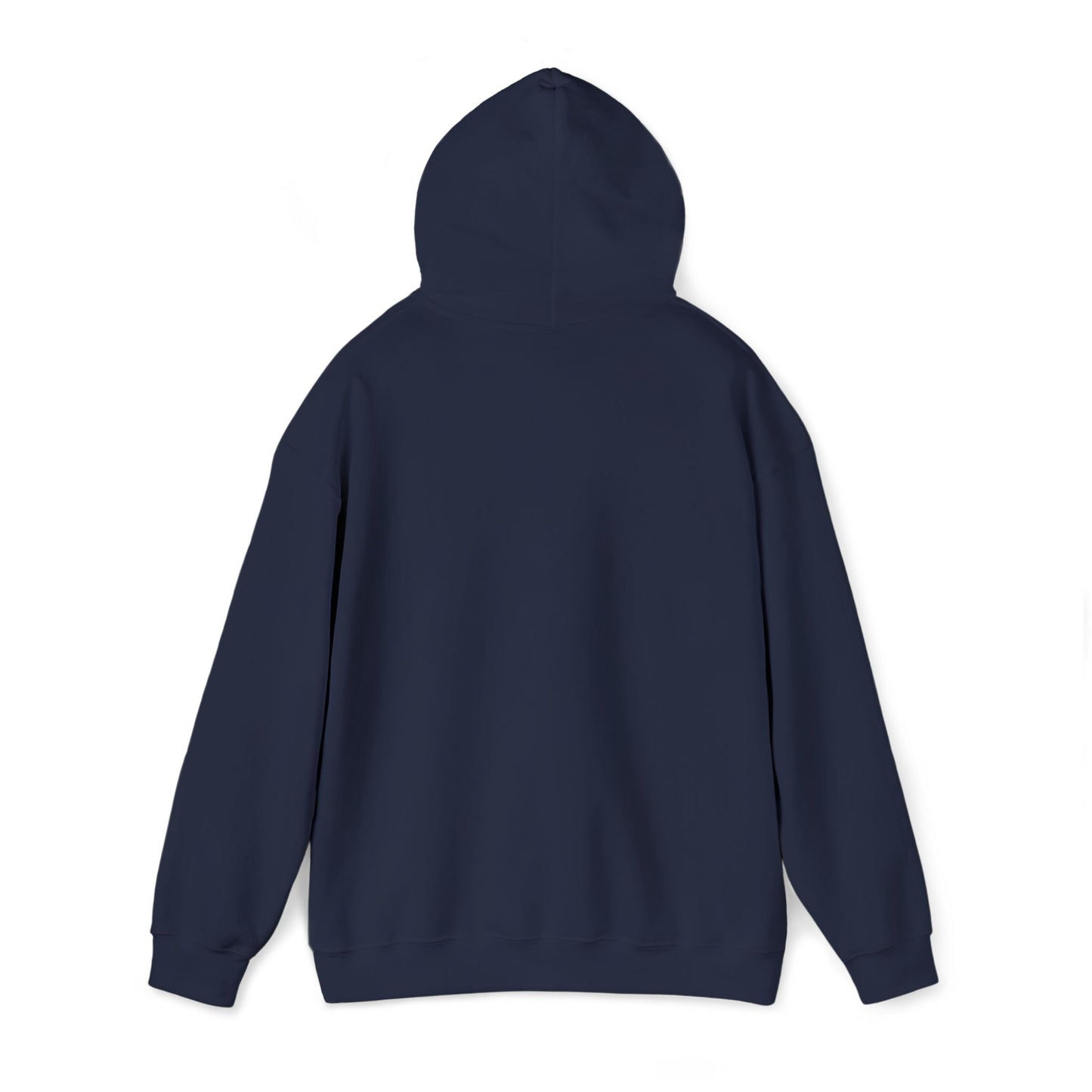 “Flostorian (n.)” Definition Hooded Sweatshirt | For Florida History Lovers & Culture Keepers