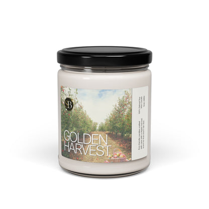 Glow Season Scented Soy Candle Collection | Cozy Home Decor, Aromatherapy Gift, Relaxing Fragrance, Nature-Inspired Candle