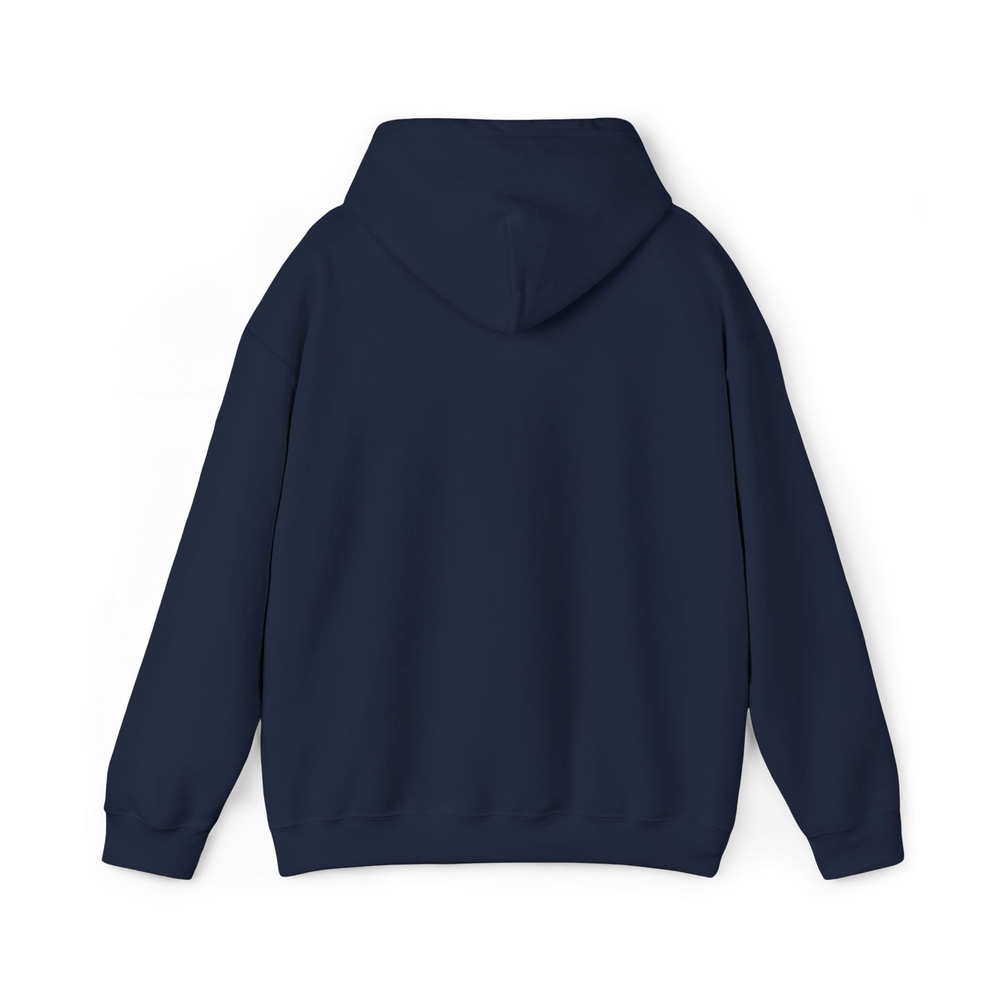 “Flostorian (n.)” Definition Hooded Sweatshirt | For Florida History Lovers & Culture Keepers