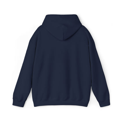 “Flostorian (n.)” Definition Hooded Sweatshirt | For Florida History Lovers & Culture Keepers