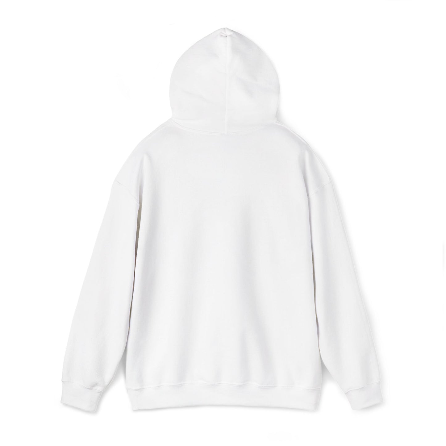“Flostorian (n.)” Definition Hooded Sweatshirt | For Florida History Lovers & Culture Keepers