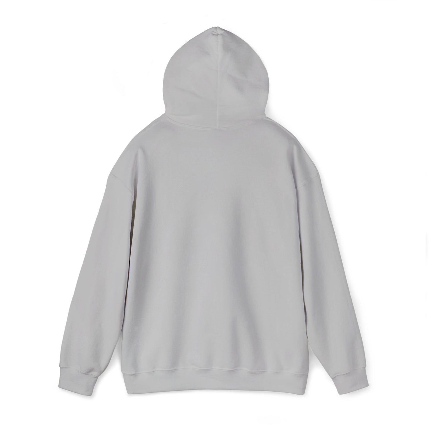 “Flostorian (n.)” Definition Hooded Sweatshirt | For Florida History Lovers & Culture Keepers