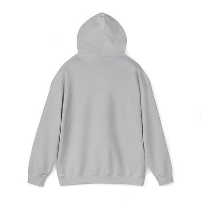 “Flostorian (n.)” Definition Hooded Sweatshirt | For Florida History Lovers & Culture Keepers