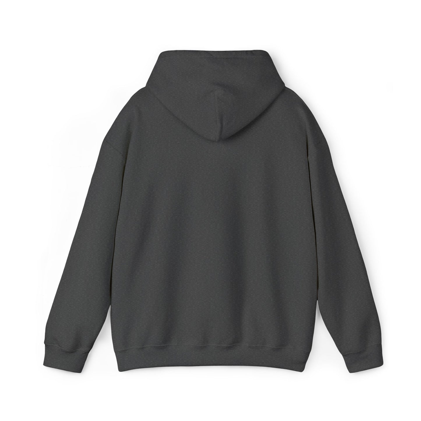 “Flostorian (n.)” Definition Hooded Sweatshirt | For Florida History Lovers & Culture Keepers