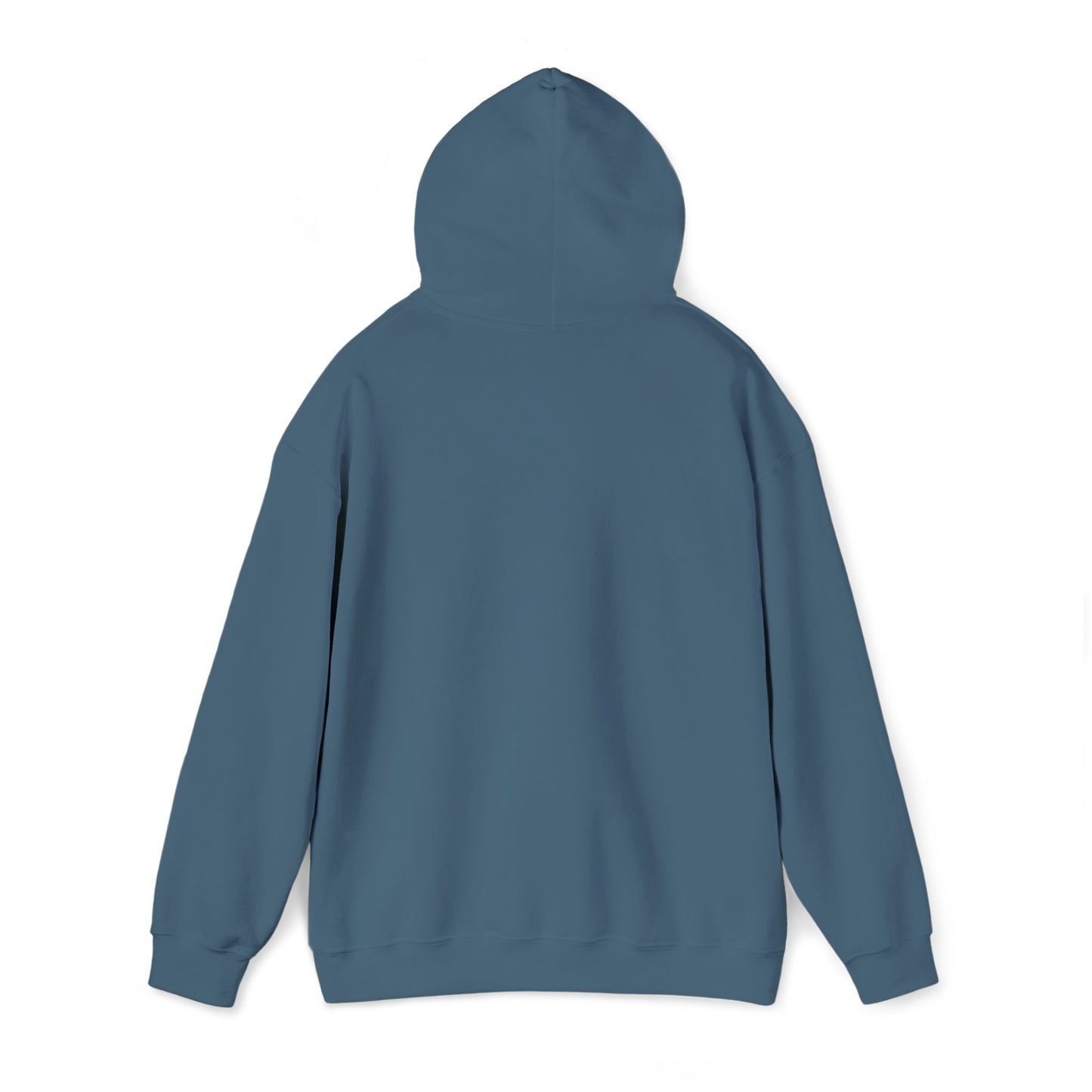 “Flostorian (n.)” Definition Hooded Sweatshirt | For Florida History Lovers & Culture Keepers
