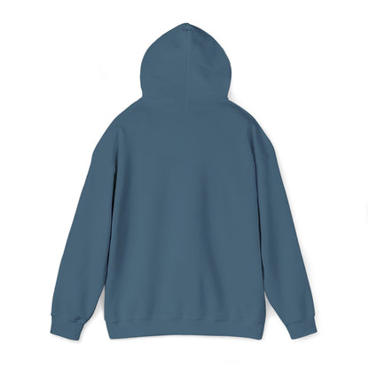 “Flostorian (n.)” Definition Hooded Sweatshirt | For Florida History Lovers & Culture Keepers